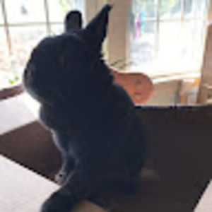 Meet your Posher, Kylie